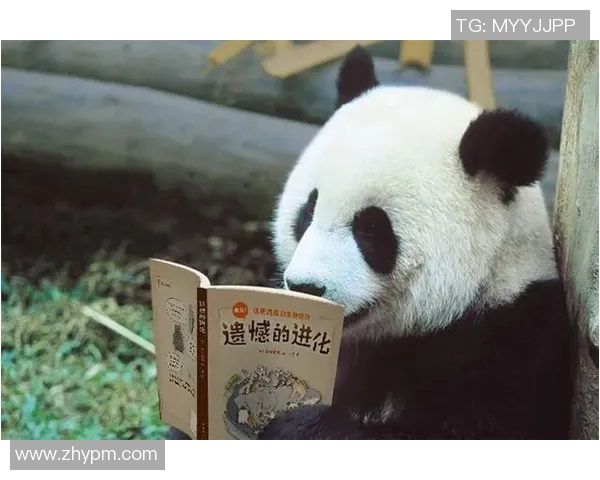 那些让人哭笑不得的足球明星们的搞笑瞬间与糗事回顾 那些让人哭笑不得的足球明星们的搞笑瞬间与糗事回顾