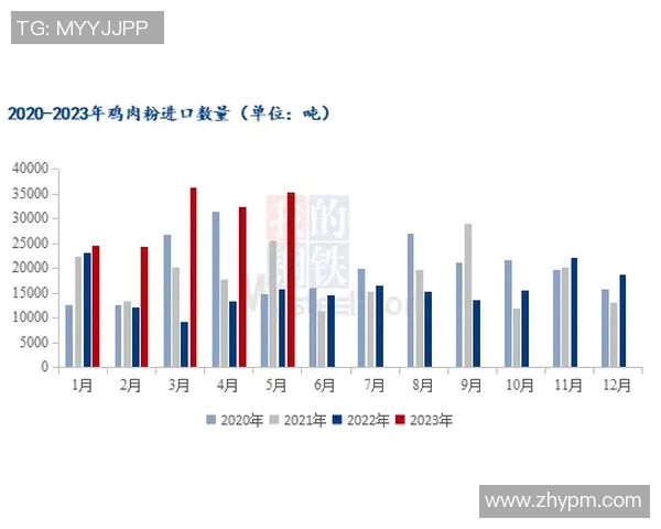 查内尔与安特卫普的较量分析与战术解读全面解析 查内尔与安特卫普的较量分析与战术解读全面解析